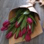 Kytica tulipánov v papierovom kornúte MIA